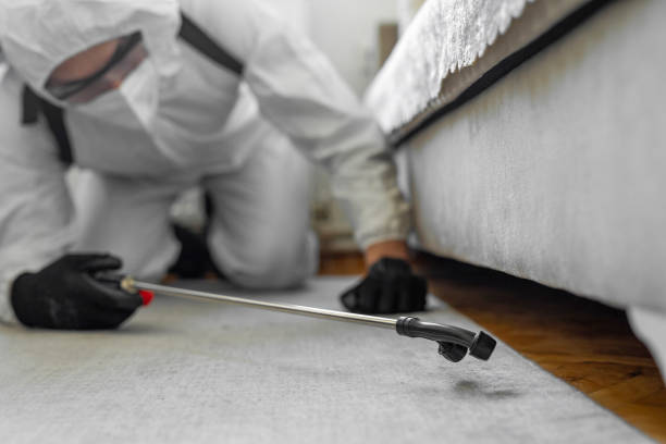 Professional Bed Bug Control technician working in Heathrow, FL