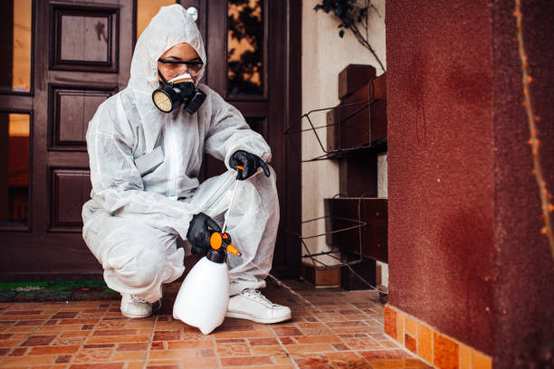 Reliable Bed Bug Control contractor in Heathrow, FL by Nex Pest Control